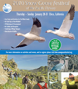 CNR brochure
